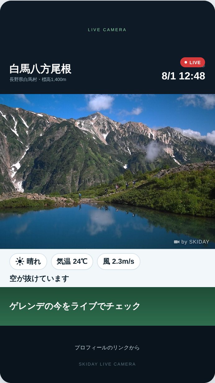 全画面の縦型。上下に余白がある